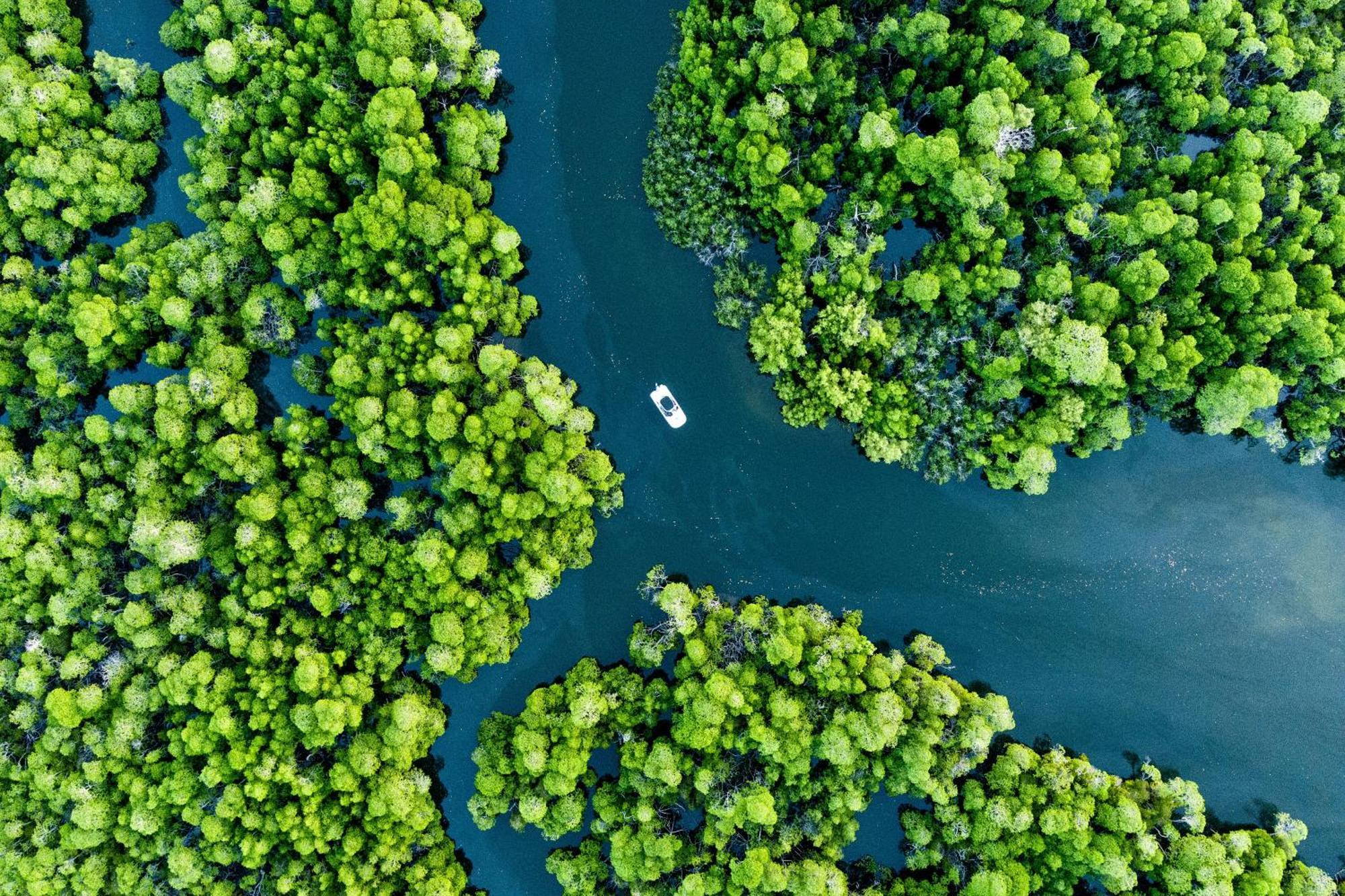 The Cabanas Lamu Matondoni エクステリア 写真